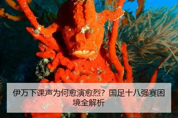 伊万下课声为何愈演愈烈？国足十八强赛困境全解析